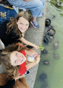 Two young girls leaning over the edge of the Central Park Lake, feeding a group of turtles and smiling up at the camera
